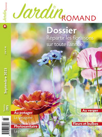 Couv 262 petit petit